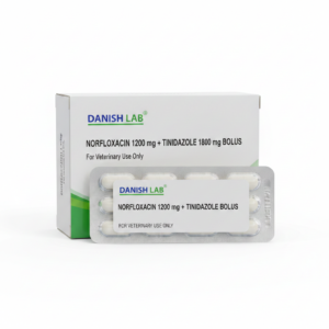 Norfloxacin 1200 mg + Tinidazole 1800 mg Bolus